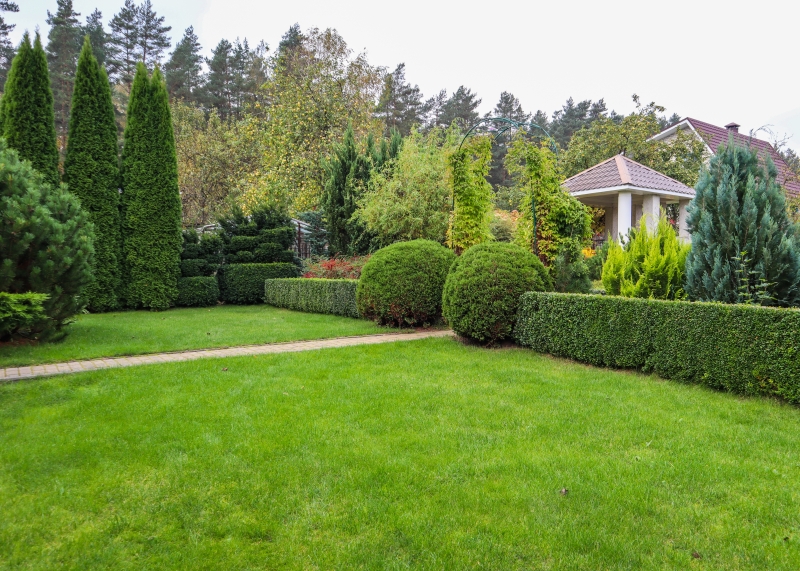 lp_support_shutterstock_1833858784.jpg Experts en terrassement de jardin, Paray-le-Monial